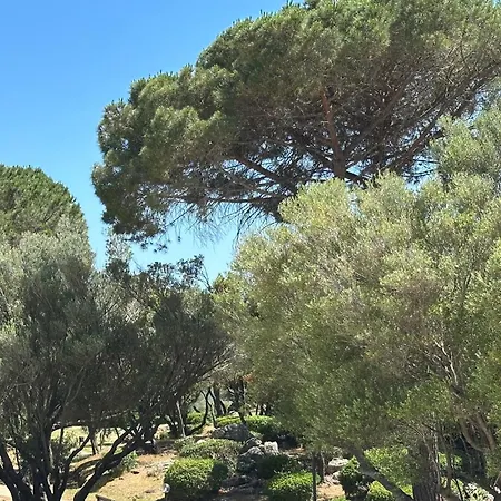 아파트 Cugnana Vacanze