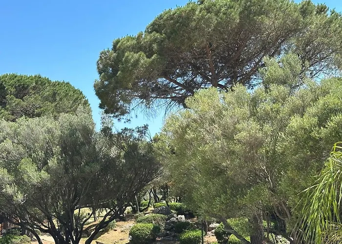 Lägenhet Cugnana Vacanze